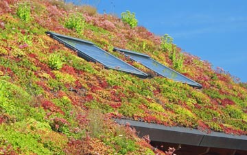 Roxwell living roof systems